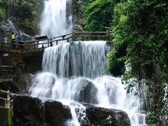 -鼎湖山风景区