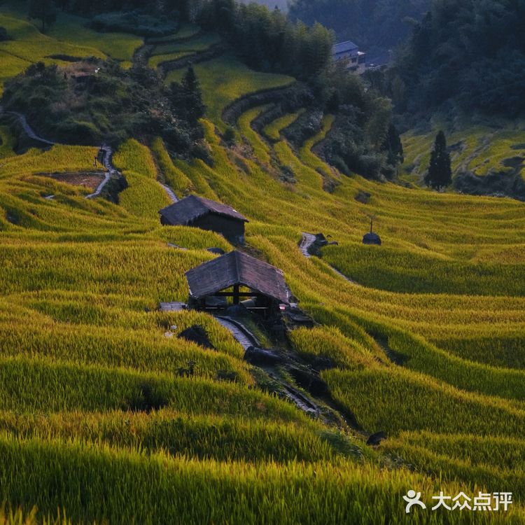 国庆假期云和梯田详细🔎攻略，附避开人流秘决🌄