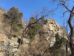 -北京鹫峰国家森林公园