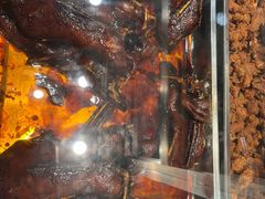 -乔波食品(杜桥中心菜场店)