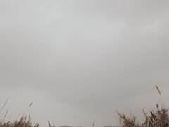 -华侨大学(厦门校区)