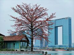 -喜洲吧·江畔老船厂·庭院餐厅(喜临院店)
