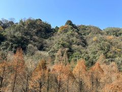 -华冠悠岚·庭院餐厅(青城后山店)