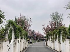 -天府芙蓉园