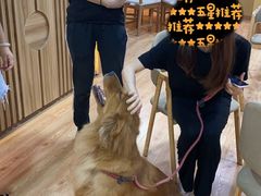 -白兔子密室(长寿路店)