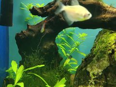 -多彩贵州城极地海洋世界