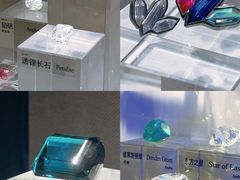 -中国地质博物馆