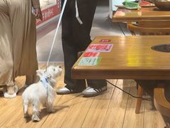 -九记潮汕现切鲜牛肉自助火锅(长沙·方圆荟店)