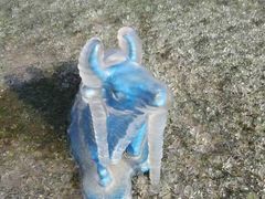 -万柳高尔夫俱乐部