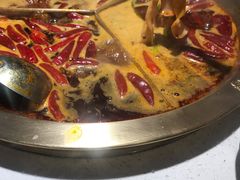-叁口煮老火锅(东升店)