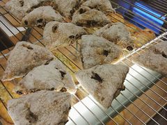 -面包与我Bread Or Me(长城汇店)