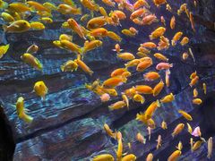 -多彩贵州城极地海洋世界