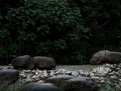 -新虹桥中心花园