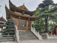 -上海东林寺(金山区)