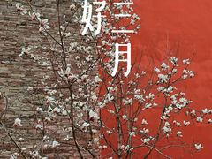 -东华门大街小区