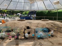 -前小桔亲子创意农场·草莓采摘·露营烧烤