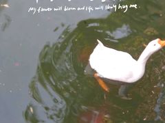 -智慧湾科创园