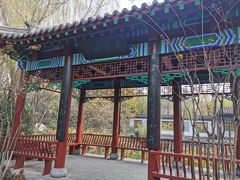 -武汉园博园(武汉自然博物馆)