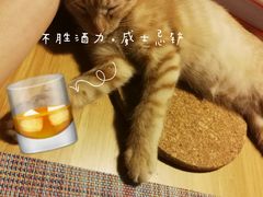 -二孃鸡爪爪(东郊记忆店)