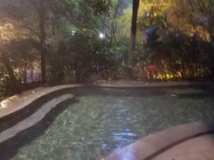 -青城道汤池