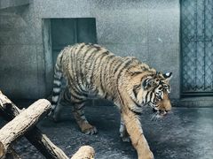 -西安秦岭野生动物园