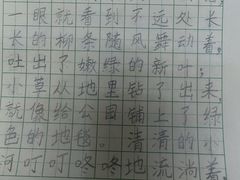 -缤纷鸟美术书法(汉神购物广场校区)