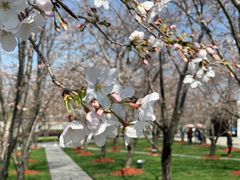 -龙美术馆(西岸馆)