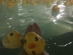 -苏州湾王焰温泉度假酒店