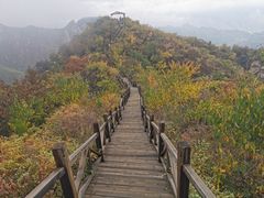 -大岭沟猕猴桃谷风景区