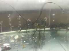 -QQ海鲜餐厅