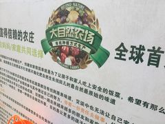 -大自然农场蔬菜草莓采摘园