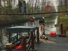 -合肥滨湖国家森林公园