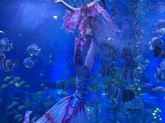 -顺德南宏海立方海洋公园