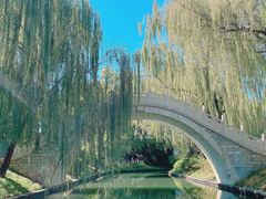-皇家御河游(紫御湾码头)