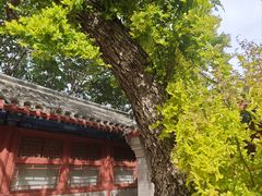 -于谦祠