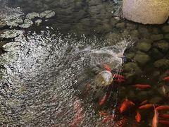 -玉舌尖私房菜(裕华店)