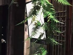 -德迹斋禅意文化茶馆·茶空间·商务洽谈•宴席(桃园店)