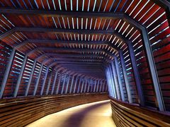 -昆山城市生态森林公园