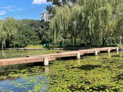 -黑龙江省森林植物园