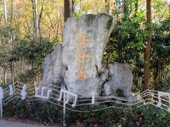 -音乐台