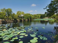 -无锡蠡湖国家湿地公园-蠡园