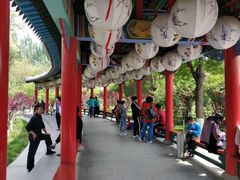 -金城公园
