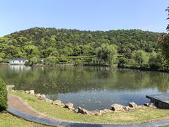 -尚贤河湿地