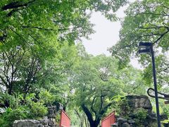 -荔湾湖公园