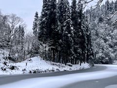 -龙苍沟森林公园