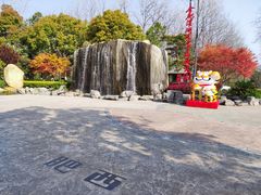 -合肥滨湖国家森林公园