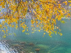 -叠溪松坪沟景区