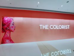 -THE COLORIST调色师