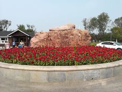 -天津东丽湖风景区