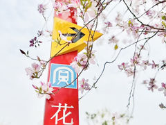 -花都广场